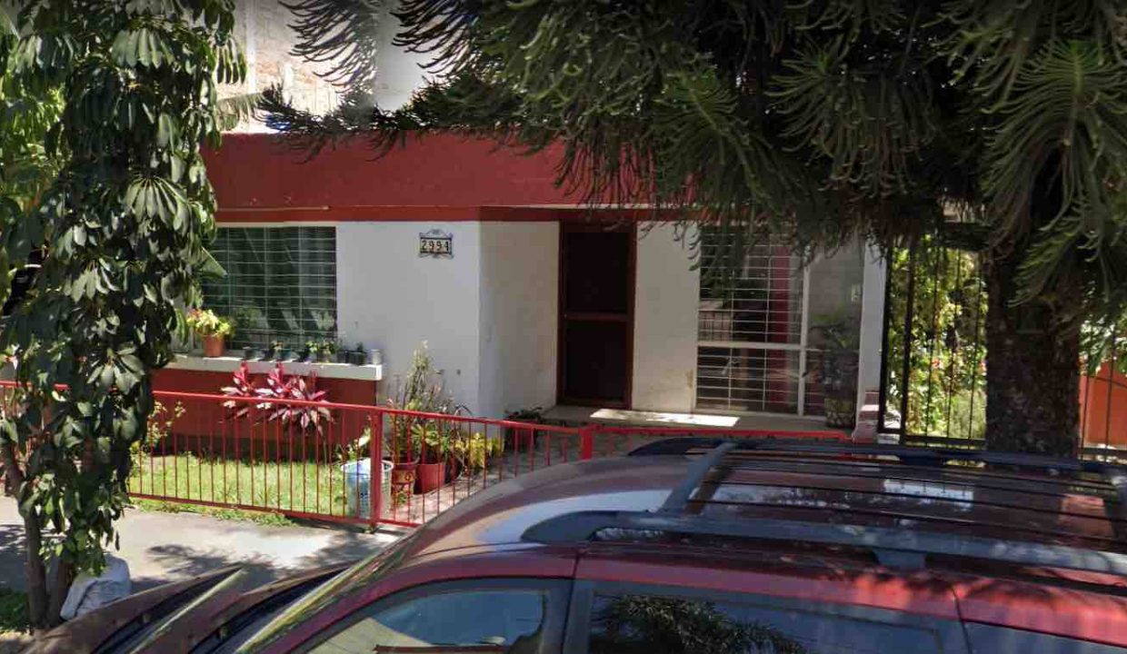 Cafetos-4