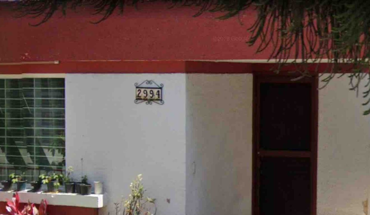 Cafetos-5